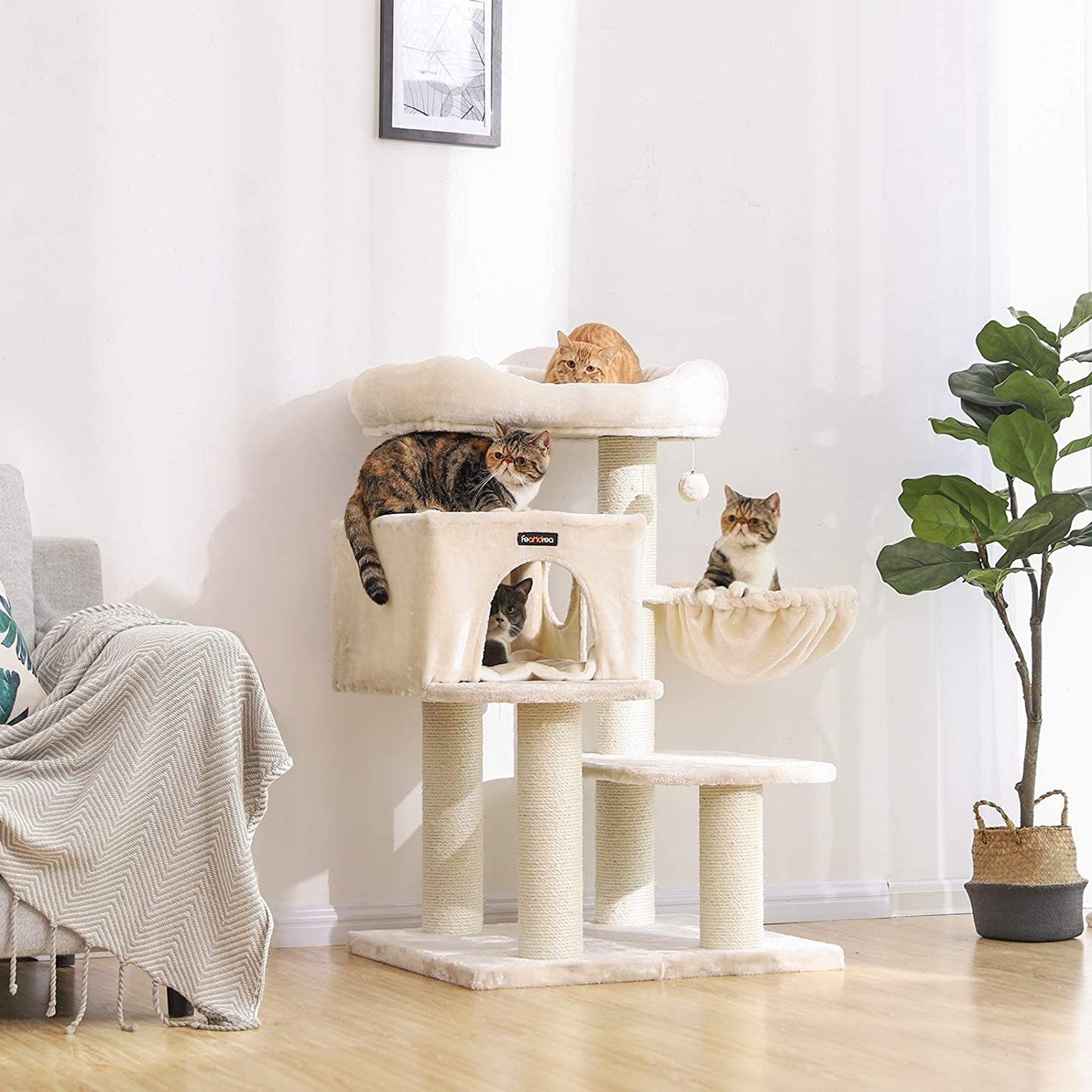 Arbre à chat de Nancy XXL - Maison pour chat de luxe - Arbre à chat - Arbre à chat pour chats