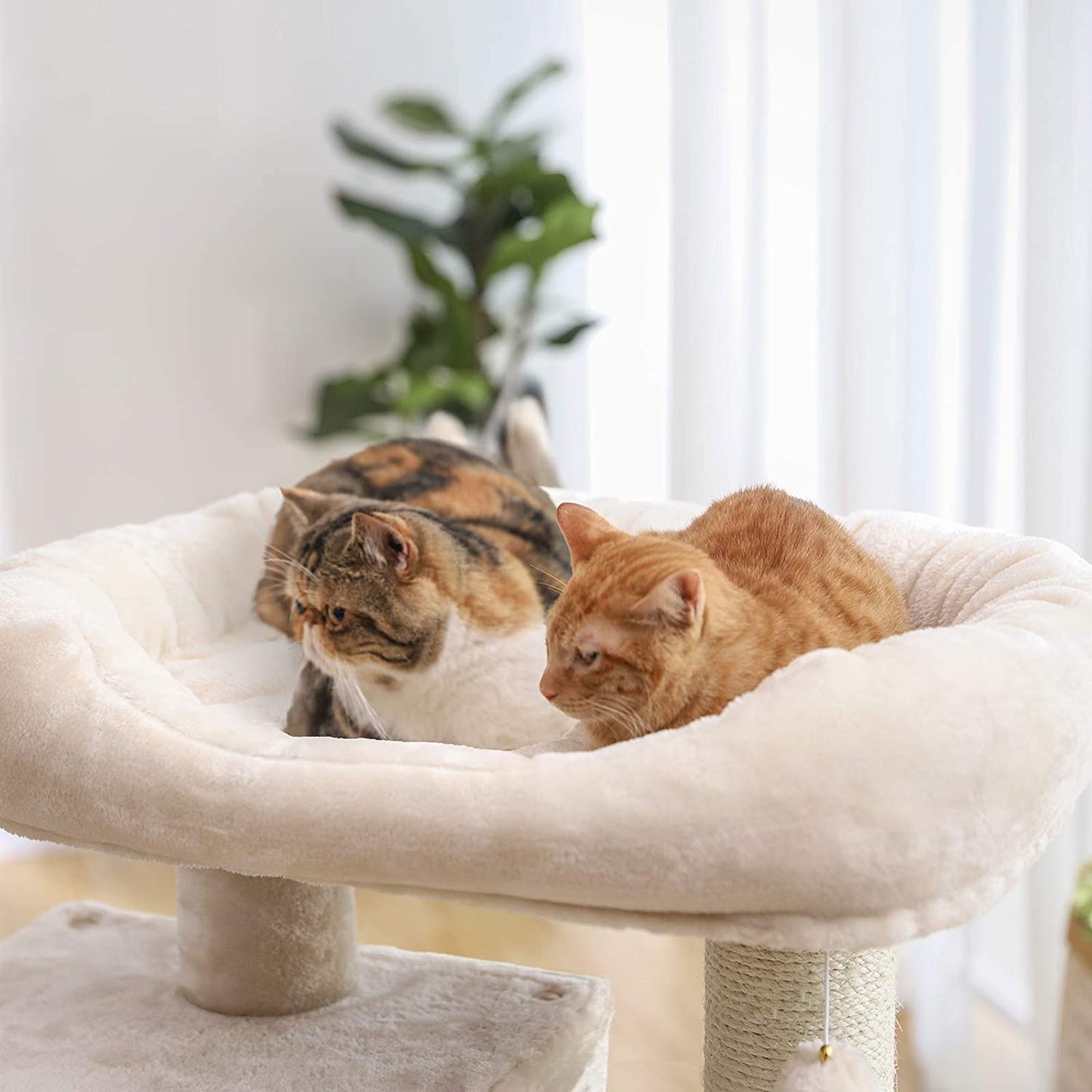 Arbre à chat de Nancy XXL - Maison pour chat de luxe - Arbre à chat - Arbre à chat pour chats